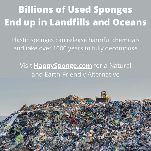 Happy Sponge - Image 9